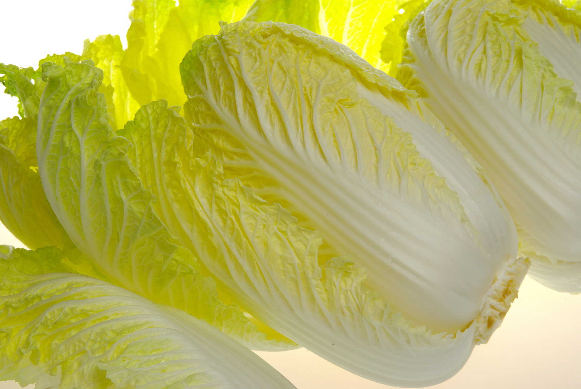 top_banner